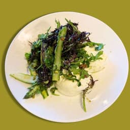 Burrata