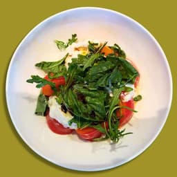 Burrata