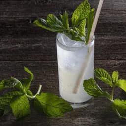 Ginger Mint Lemonade
