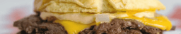 Double Cheeseburger